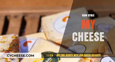 Who Stole My Cheese? Uncovering the Mystery Behind the Missing Cheese