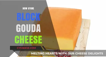 Proper Storage Tips for Keeping Block Gouda Cheese Fresh Longer