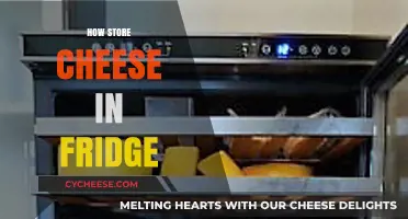 Mastering Cheese Storage: Optimal Fridge Tips for Freshness and Flavor