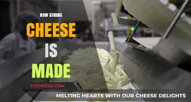 From Farm to Snack: The Journey of String Cheese