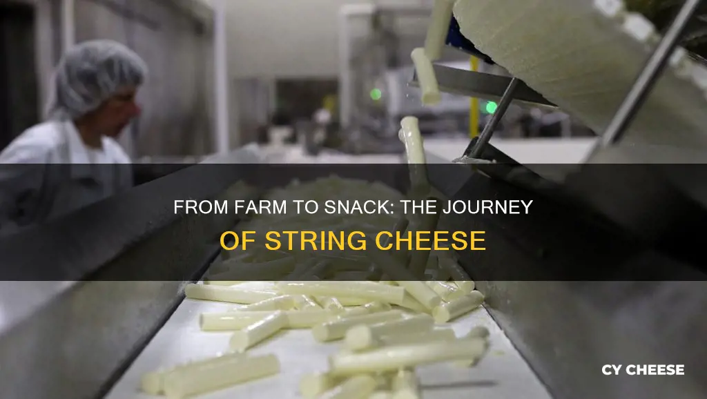 how string cheese is made