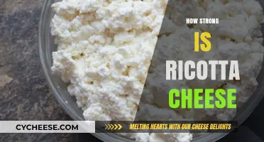 Ricotta Cheese Strength: Texture, Uses, and Culinary Versatility Explained