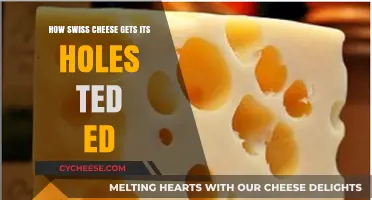 Swiss Cheese Holes: The Science Behind the Mystery