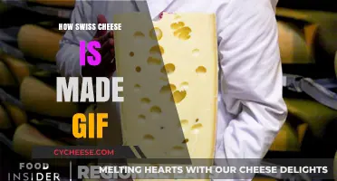 Unveiling the Art of Swiss Cheese: A GIF Journey