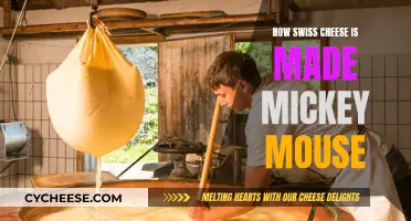 Swiss Cheese Secrets: Mickey Mouse's Guide