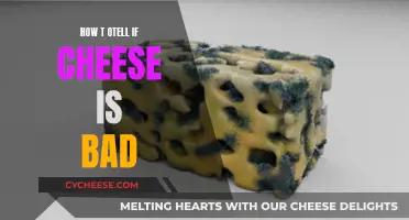 Signs of Bad Cheese: What to Look For