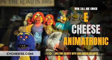 The Height of Chuck E. Cheese Animatronics