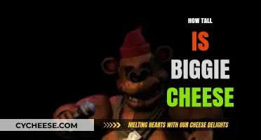 Unveiling Biggie Cheese's Height: A Surprising Size Revelation