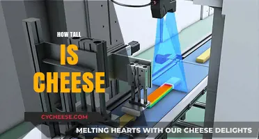 Unraveling the Mystery: How Tall is Cheese and Why It Matters