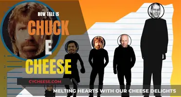 The Height of Chuck E. Cheese: A Giant Mystery