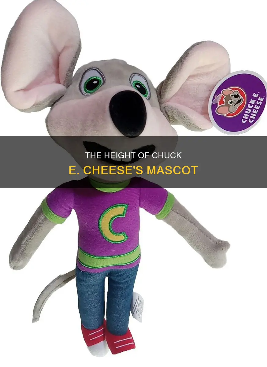 how tall was the chuck e cheese doll