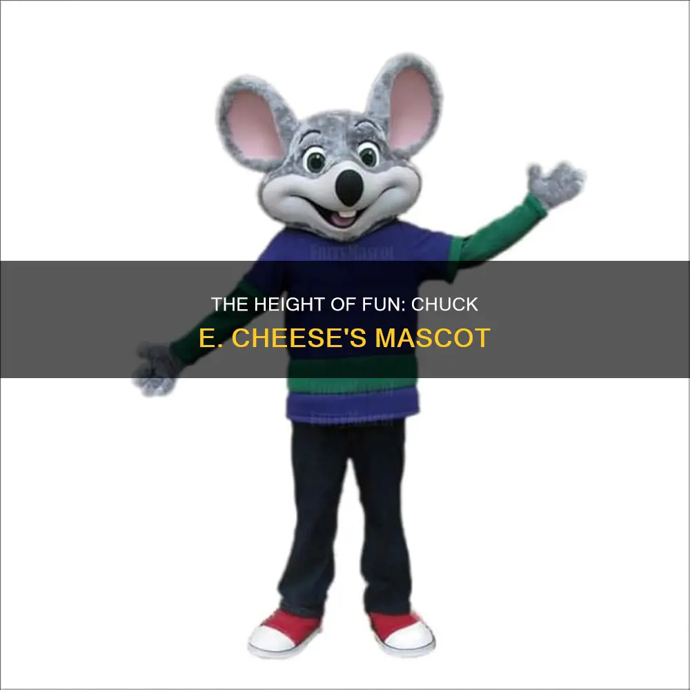 how tall was the chuck e cheese mascot