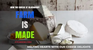 The Art of Cheesemaking: Blackberry Farm's Unique Process