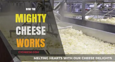Unraveling the Science and Magic Behind How Cheese Works
