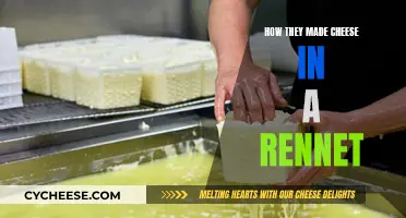Rennet's Role in Cheese Making Explained