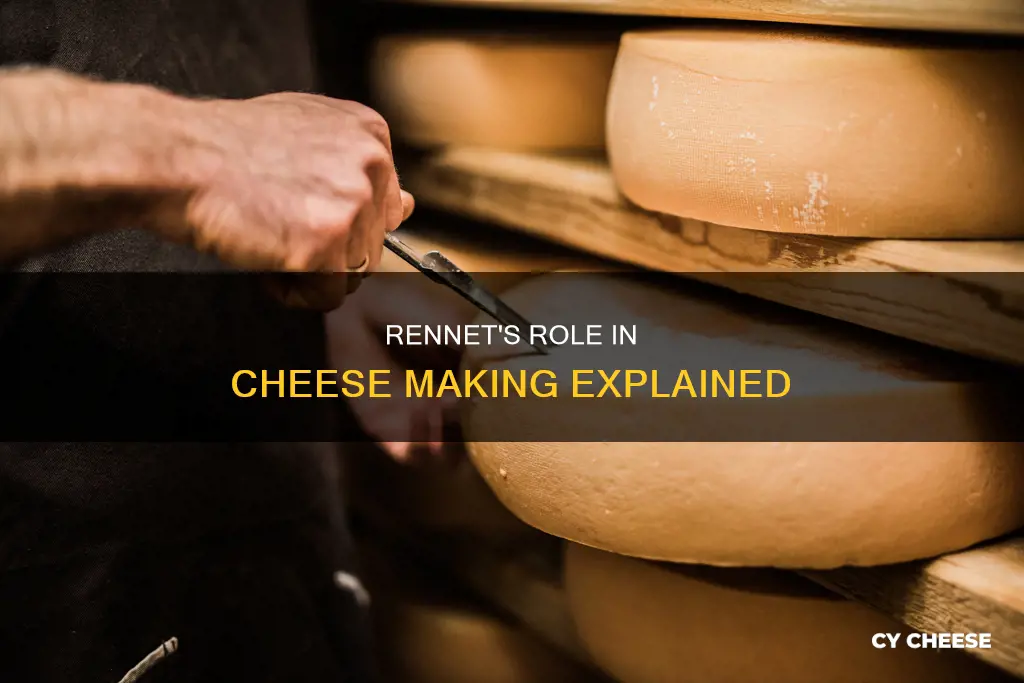 how they made cheese in a rennet