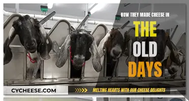 Cheese-Making: Traditional Techniques of Yore