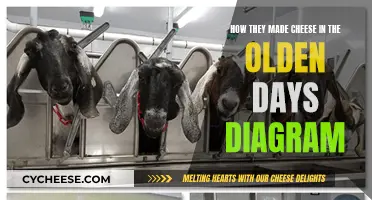 Cheese-making Process of Olden Days: A Visual Guide