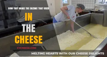 Unlocking Cheese Enzymes: The Science Behind the Art