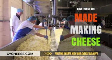 Unveiling the Magic: A Journey into the Art of Cheese-Making