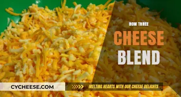 Mastering the Art of Blending Three Cheeses for Perfect Flavor Harmony