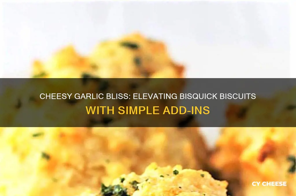 how to add cheese and garlic to bisquick bisquits