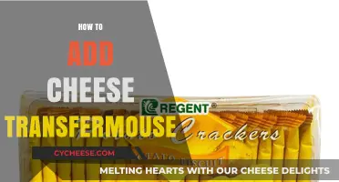 Mastering Cheese Transfermouse: Easy Steps to Add It Perfectly Every Time