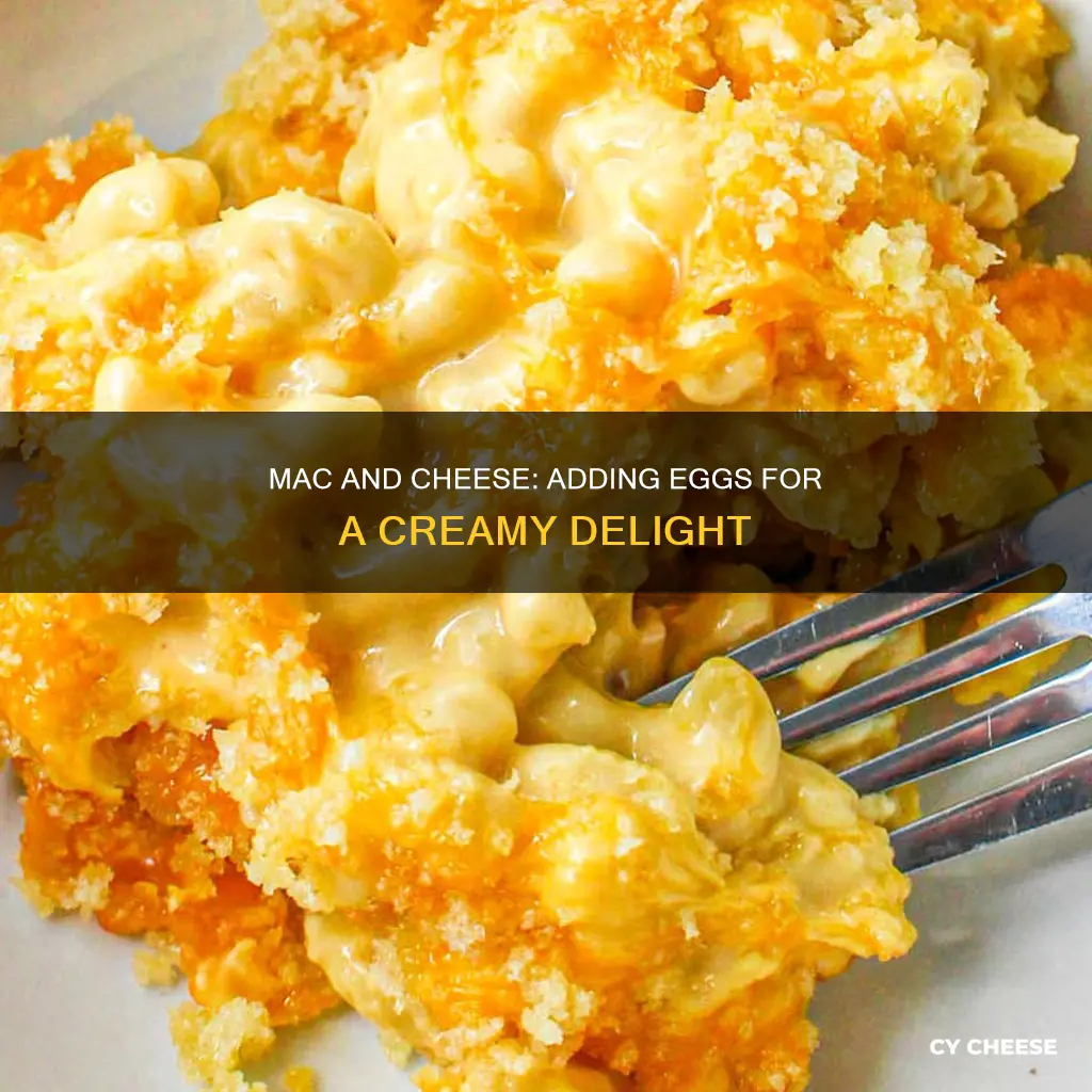 how to add egg to macaroni and cheese