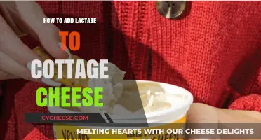 Enhance Cottage Cheese: Simple Steps to Add Lactase for Easier Digestion