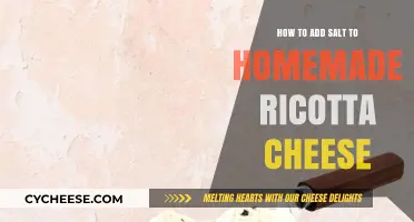 Enhance Your Homemade Ricotta Cheese with the Perfect Salt Addition