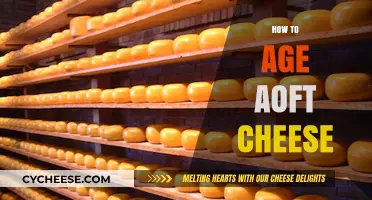 Mastering the Art of Aging Soft Cheese: Tips for Perfect Results
