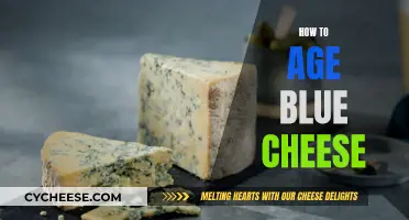 Aging Blue Cheese: A Guide to Perfect Ripening