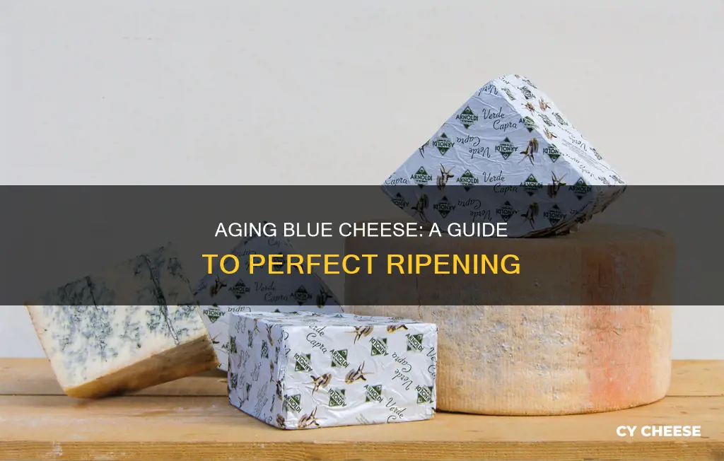 how to age blue cheese