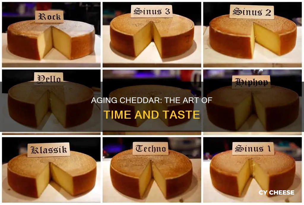 how to age cheddar cheese