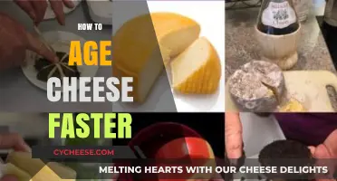 Accelerate Cheese Aging: Quick Tips for Faster, Tastier Results