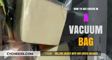 Mastering Vacuum-Sealed Cheese Aging: Techniques for Perfectly Matured Flavors