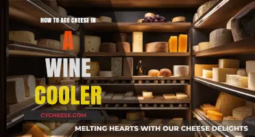 Mastering Cheese Aging: Tips for Using Your Wine Cooler Effectively