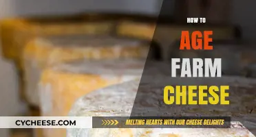 Mastering the Art of Aging Farm Cheese at Home