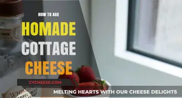 Mastering Homemade Cottage Cheese: Tips for Perfect Aging at Home