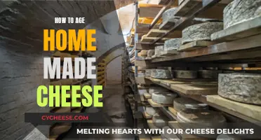 Aging Homemade Cheese: Tips for the Perfect Taste