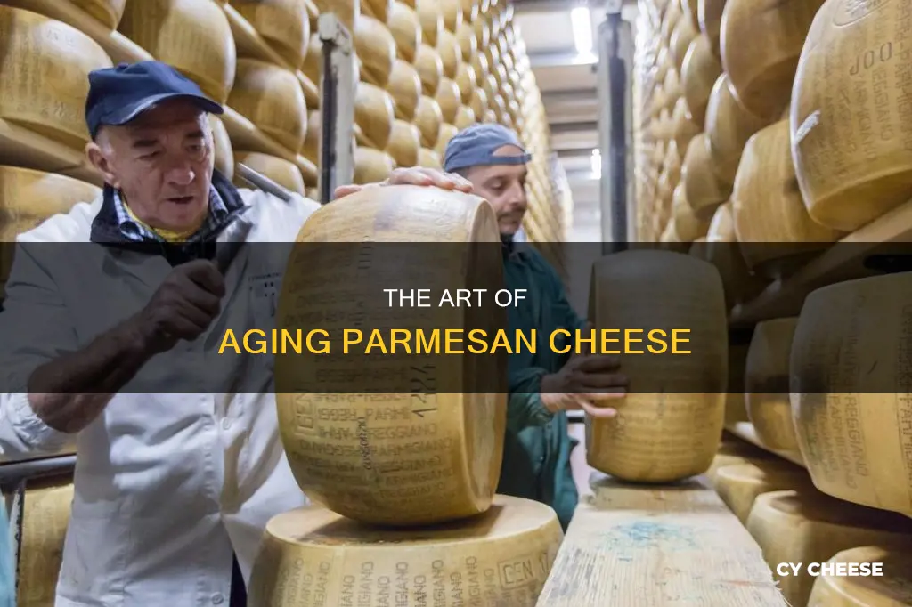 how to age parmesan cheese