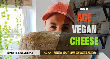 Mastering the Art of Aging Vegan Cheese for Rich Flavors