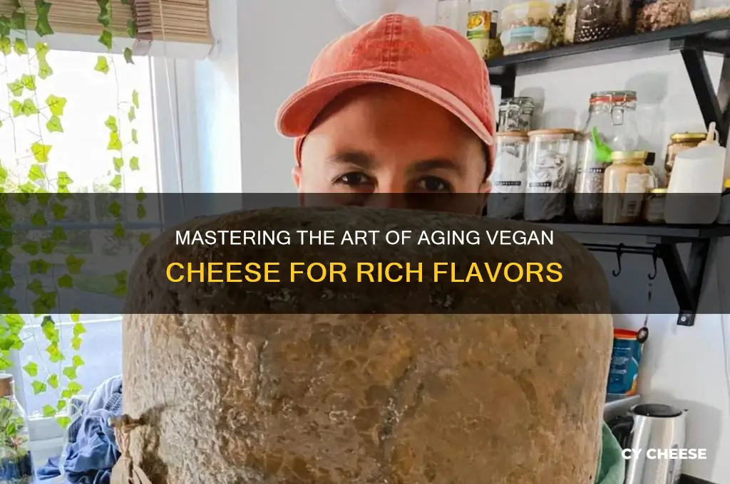 how to age vegan cheese