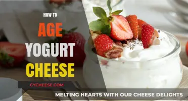 Mastering the Art of Aging Yogurt Cheese: A Step-by-Step Guide