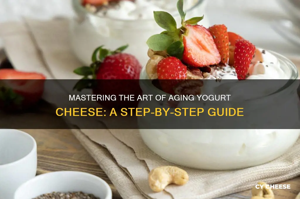 how to age yogurt cheese