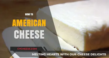Mastering the Art of Making Perfect American Cheese at Home