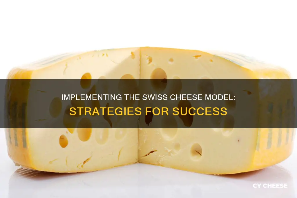 how to apply swiss cheese model