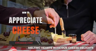 Mastering the Art of Cheese Appreciation: Tips for Savvy Connoisseurs