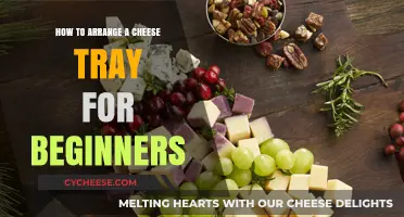 Mastering the Art of Cheese Tray Arrangement: A Beginner's Guide