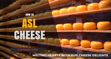 Mastering the Art of Aging Cheese: A Step-by-Step Guide